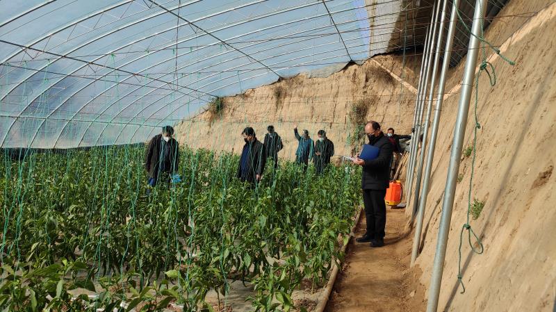 市区两级联动筑牢农产品质量安全防线 定西市合力推进食用农产品合格证全面落实